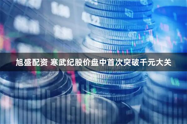 旭盛配资 寒武纪股价盘中首次突破千元大关