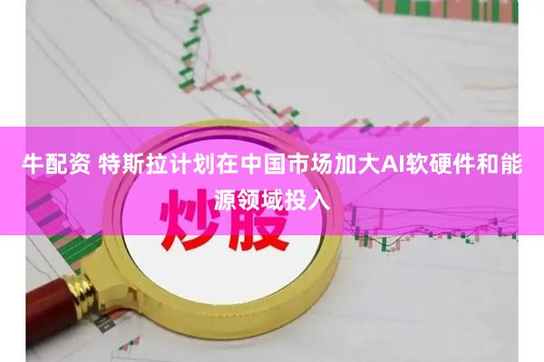 牛配资 特斯拉计划在中国市场加大AI软硬件和能源领域投入